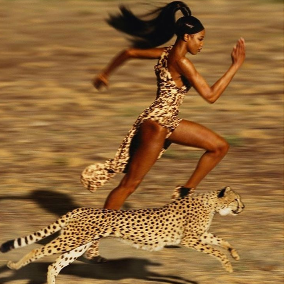 Why Elegance Will Always  Be Your Greatest Asset