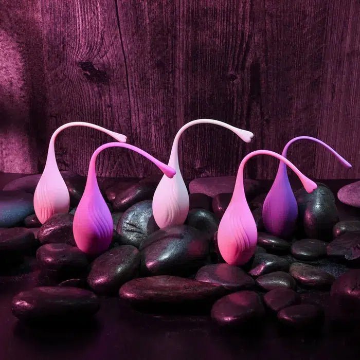 Evolved TIGHT & DELIGHT 5 Piece Kegel Set - kegel - Naked Curve